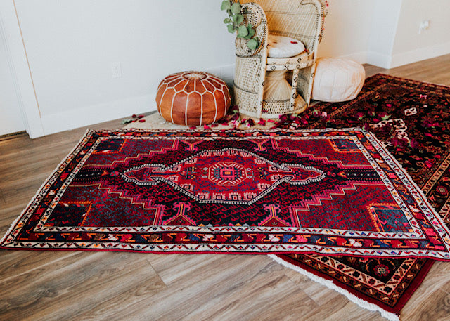 "Aster" Rug | DIM 4'0" x 6'7"