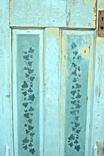 Green vintage door with vines