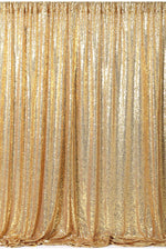 "Girls Just Want to Have Fun" Gold Sequin Backdrop