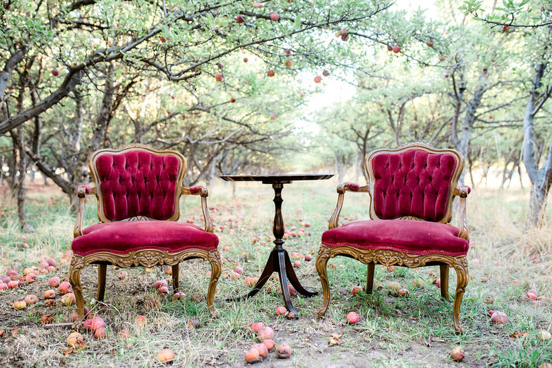 Vintage red velvet chairs in apple orchard