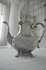 Decorative silver teapot